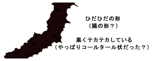 自宅で断食してみました 私の体験談 断食セットを使ってみた